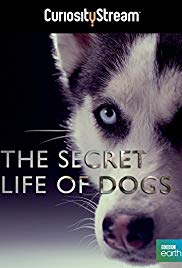 Watch Full Movie :Secret Life of Dogs (2013)