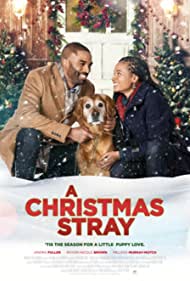Watch Full Movie :A Christmas Stray (2021)