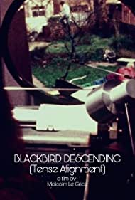 Watch Full Movie :Blackbird Descending (1977)