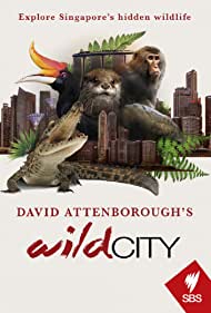 Watch Full Tvshow :David Attenboroughs Wild City (2016)