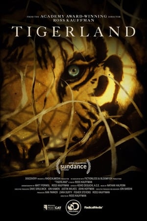 Watch Full Movie :Tigerland (2019)