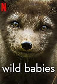 Wild Babies (2022-)