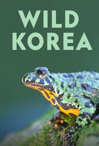 Watch Full Tvshow :Wild Korea 2022