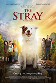 Watch Full Movie :The Stray (2017)