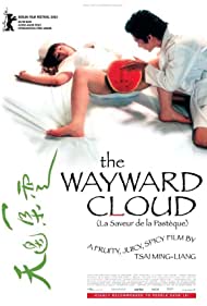 The Wayward Cloud (2005)