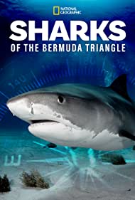 Sharks of the Bermuda Triangle (2020)