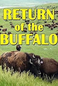 The Return of the Buffalo Restoring the Great American Prairie (2008)