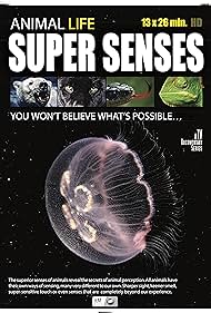 Watch Full Movie :Super Senses (2015–)