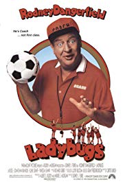 Watch Full Movie :Ladybugs (1992)