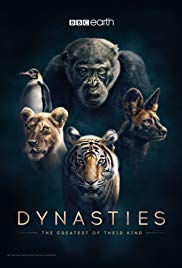 Dynasties (2018 )