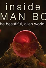 Watch Full Tvshow :Inside the Human Body (2011 )