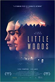 Watch Full Movie :Little Woods (2018)