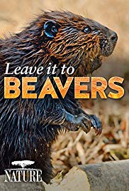 Watch Full Movie :Leave It to Beavers (2014)