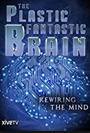 The Plastic Fantastic Brain (2009)