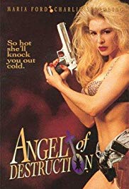 Watch Full Movie :Angel of Destruction (1994)